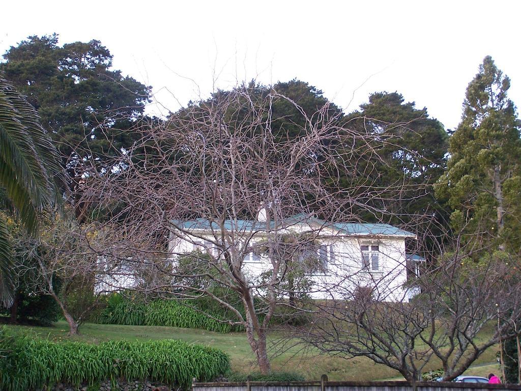ファンガレー Kauri Nest Bed & Breakfast エクステリア 写真