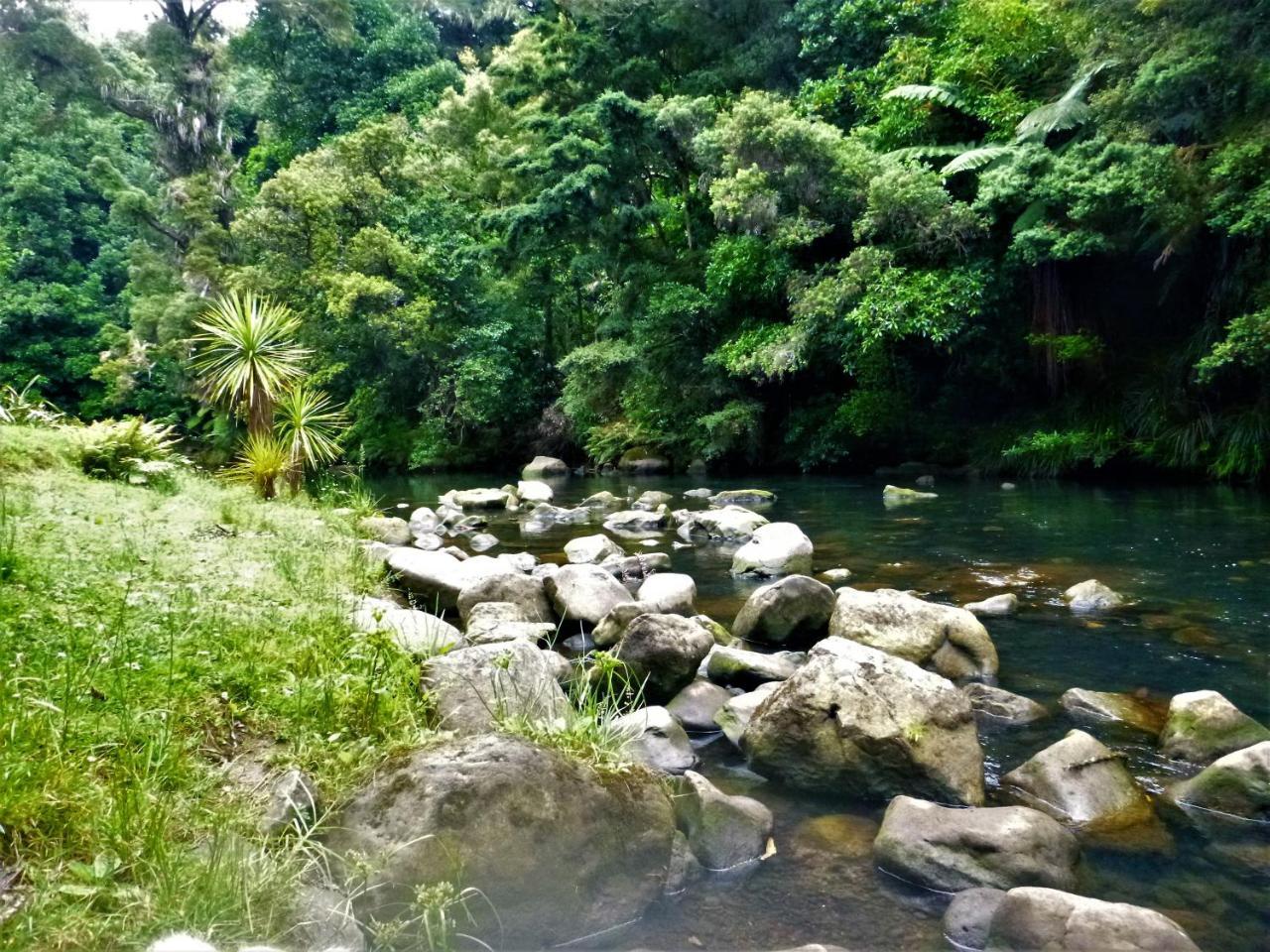 ファンガレー Kauri Nest Bed & Breakfast エクステリア 写真