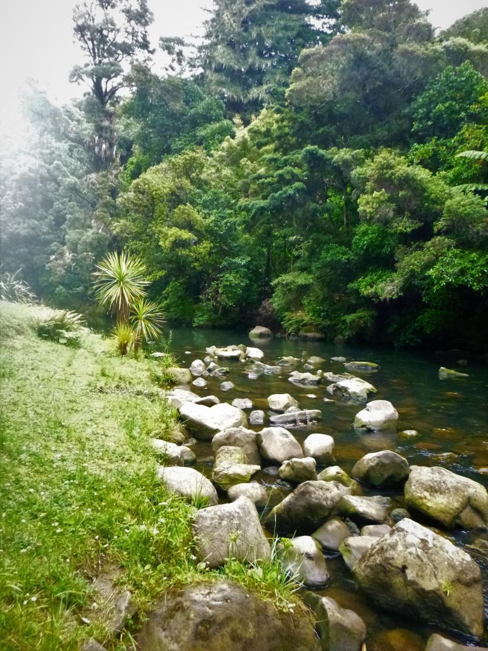 ファンガレー Kauri Nest Bed & Breakfast エクステリア 写真