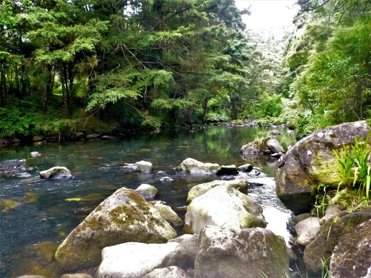 ファンガレー Kauri Nest Bed & Breakfast エクステリア 写真