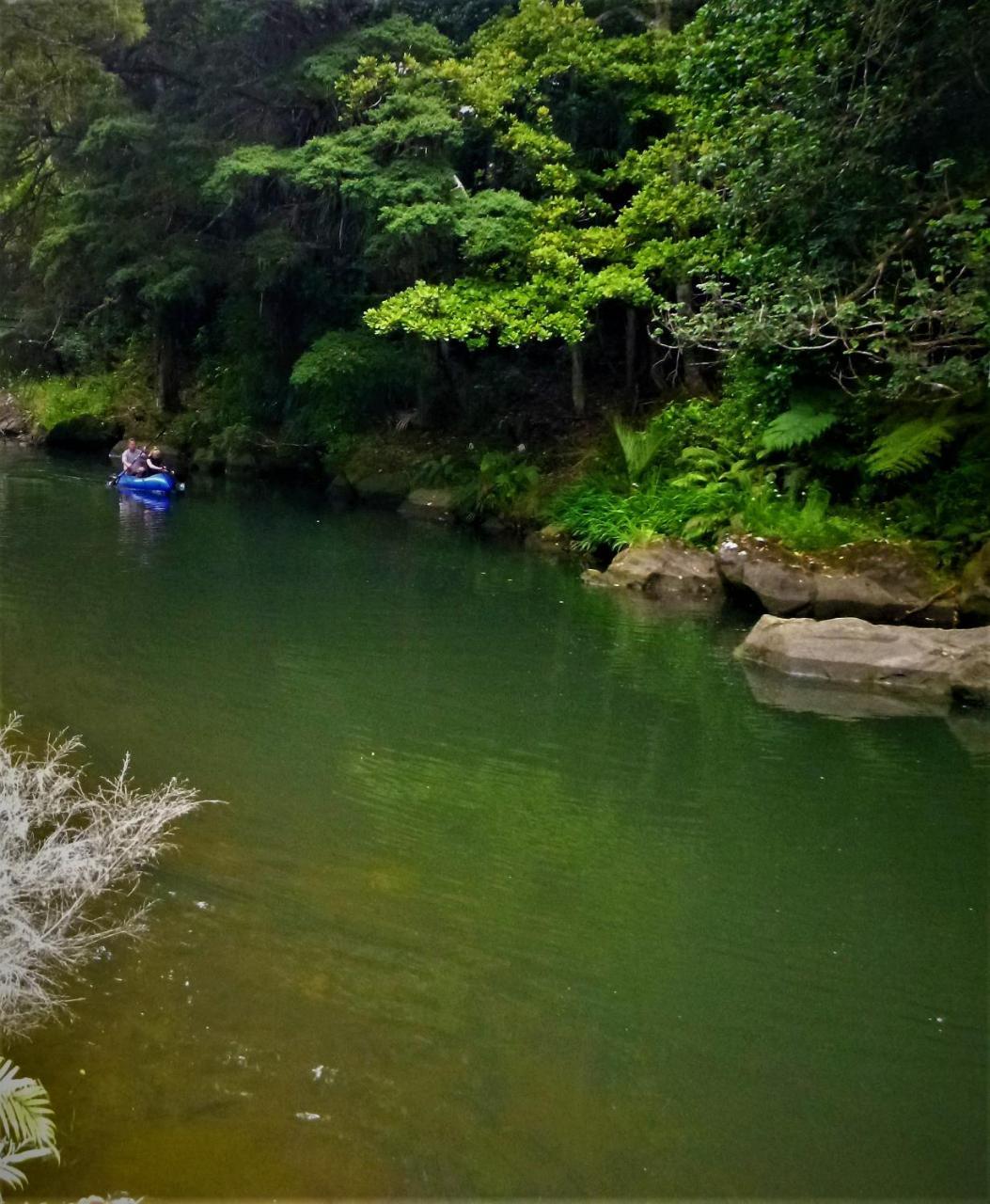 ファンガレー Kauri Nest Bed & Breakfast エクステリア 写真