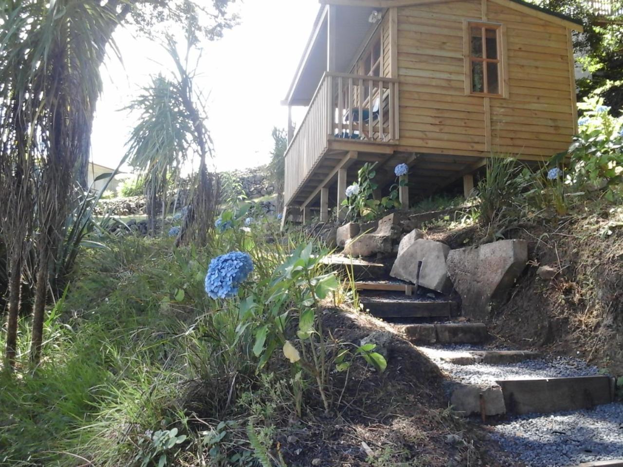ファンガレー Kauri Nest Bed & Breakfast エクステリア 写真